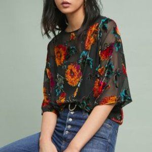 Anthropologie velvet burnout blouse